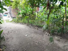 Tanah Kosong Padang Bulan Jamin Ginting