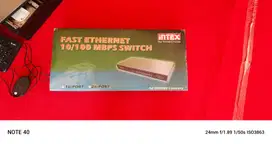 Intex Fast Ethernet Switch