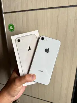 IPHONE 8 64 ALL OPERATOR