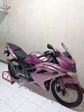 Kawasaki Ninja RR 2014