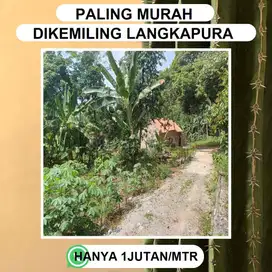 TANAH DATAR KOTA BANDAR LAMPUNG
