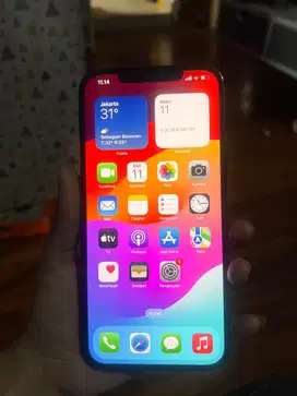 Jual Iphone 12 pro max