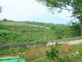 Jual tanah rumah villa belakang vimala hills puncak gadog ciawi bogor