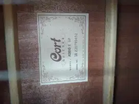 Cort AD810 eop.