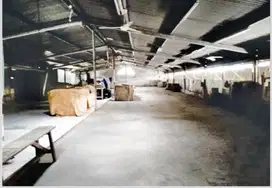 Harus Terjual Ex Pabrik & Gudang di Kamal Muara Jakarta Utara