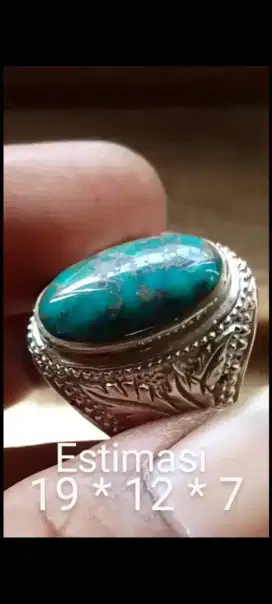 Pirus Persia lawasan
