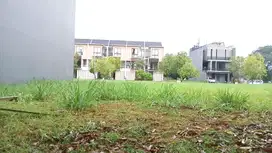 For Sale  Kav Puri Botanical cluster magnolia Jakbar