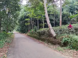 JUAL CEPAT | KEBUN DURIAN DAN MANGGIS PINGGIR JALAN | TANAH DATAR
