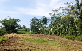 Tanah Strategis Harga Bersahabat Akses Mudah ke Pusat Kota Malang