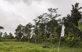Tanah Kavling Murah Malang Kota Dekat Kampus & Jalan Utama