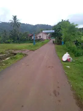 Tanah Murah Pisan di Rajamandala Tasikmalaya 1000 Meter Cuma 175jt
