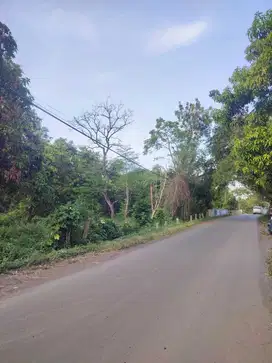 Dijual tanah di Jln Raya Cermee Bondowoso