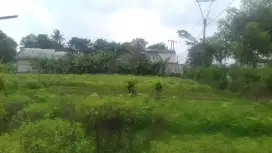 Di Jual Tanah di Cabang Bungin