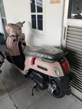Pazzio new hibrid