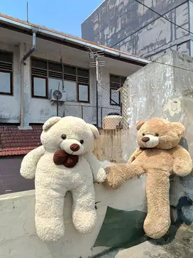 BONEKA JUMBO TEDDY BEAR