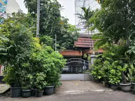Rumah Cempaka Putih Barat Luas 360 Asri Strategis
