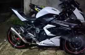 Kawasaki Ninja Mono