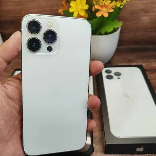 BACA DESC IPHONE 13 PROMAX 256GB SEIN
