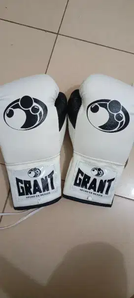 Boxing Gloves Grant