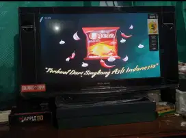 TV Polytron 21 inch