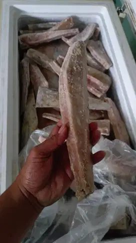 Ikan tuna toro fillet
