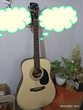 Gitar Cort AD810 OP
