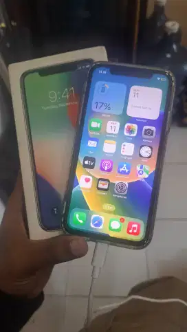 Iphone X 256gb All Operator