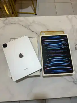 Ipad pro M2 256gb 11inc ( 4th generation )