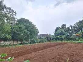 Cluster Depok City bisa Cicil dekat dengan Tol Limo hanya 10 menit.