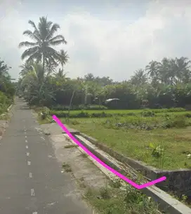 Harga Murah Tanah dengan View Sawah Mangku Aspal dekat Sleman City Hal