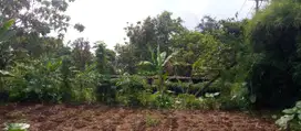 Dijual Tanah Murah Cocok Untuk Villa Dekat Curug Nangka Free SHM
