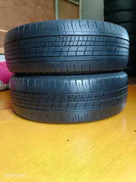 Ban 195 60 R16 Dunlop Enasave BRV SERENA