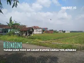 Tanah lahan kuning di Kebonagung Pakisaji Malang Harga Terjangkau