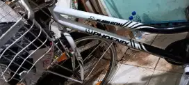 Sepedah phoenix 26