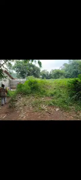 TANAH DIJUAL SEGERA di CISEENG BOGOR