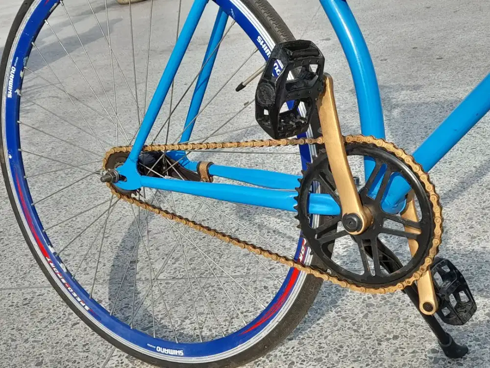 Sepeda Fixie Biru