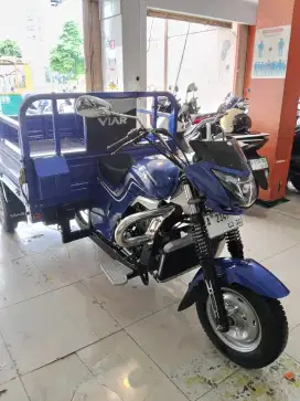 VIAR KARYA 200L 2025 KM 2000
