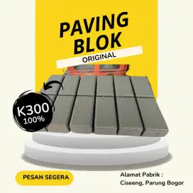 Paving blok k300