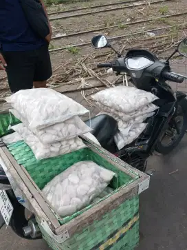 Batu Koral Pink