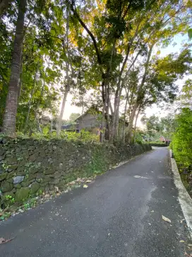 100m Ke Jl. Raya dijual Tanah Bagus Area Dlingo Bantul Yogyakarta