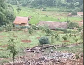 Di jual TANAH PERKEBUNAN