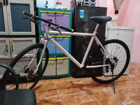 Road bike custom