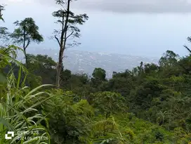 Tanah View Laut dekat Munduk dan Wanagiri Bali