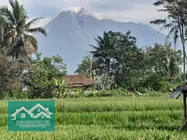 Jual Tanah Murah & Strategis Di Ngemplak, Tepi Jalan Aspal, 650 Ribuan