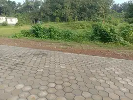 Kapling murah dekat jalan raya