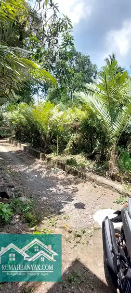 Jual Tanah Murah Di Tempel, 325 jt Saja