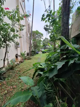PALING MURAH DI CIPETE UTARA TANAH SIAP BANGUN