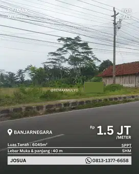 Dijual tanah Seluas 6045 M2 Akses Jalan Provinsi