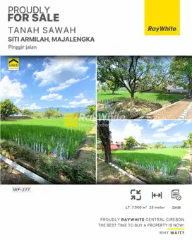 Dijual Tanah Sawah di Pinggir Jalan Siti Armilah Majalengka
