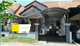 Rumah murah citraland BU